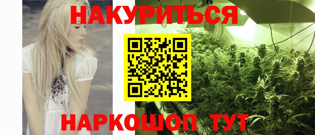 Шишки марихуана план Бердск
